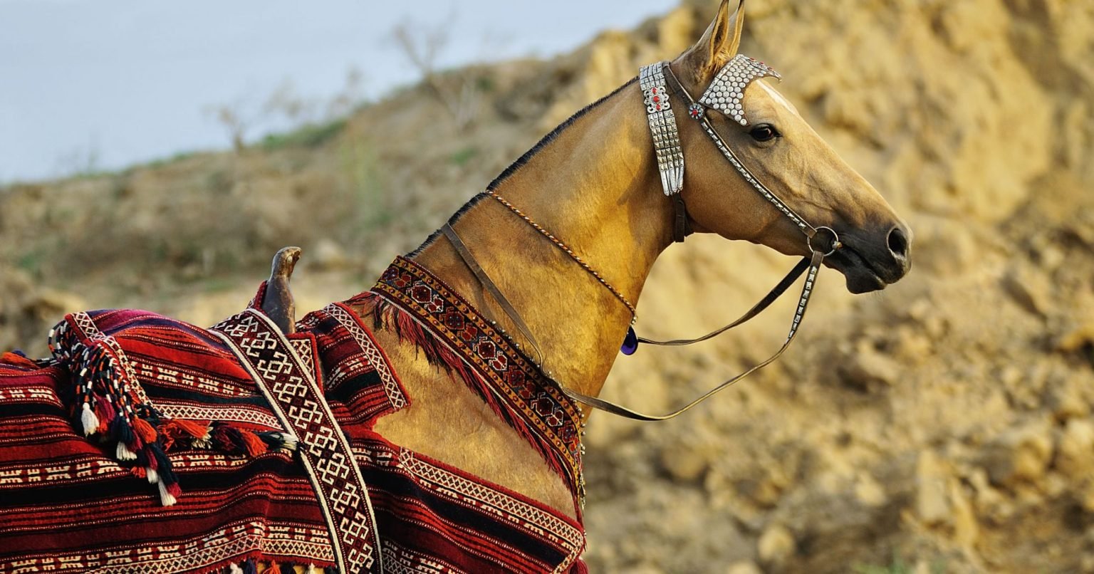 The Akhal-Teke Horse and its Breyer Models