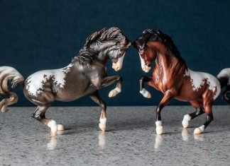 Breyerfest 2023 Volunteer Model Breyerfest 2023 Volunteer Model