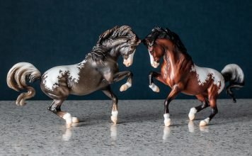 Breyerfest 2023 Volunteer Model Breyerfest 2023 Volunteer Model