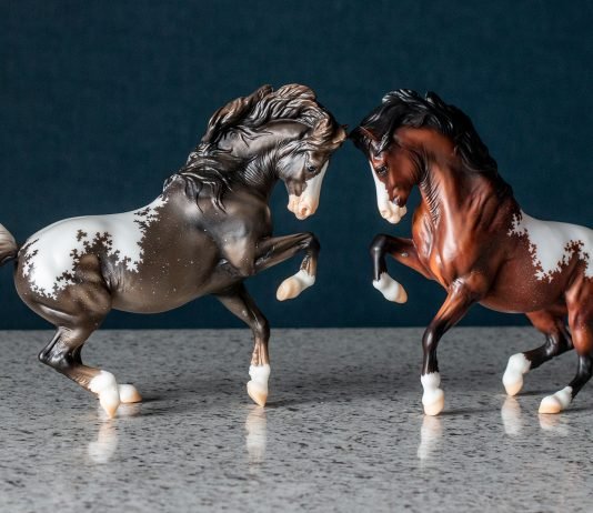 Breyerfest 2023 Volunteer Model Breyerfest 2023 Volunteer Model