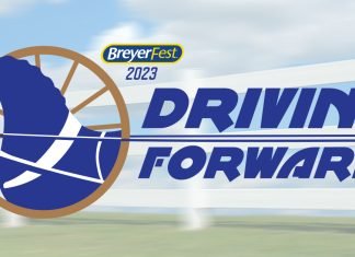 BreyerFest 2023 Surprise Model | Exclusive and Special Runs