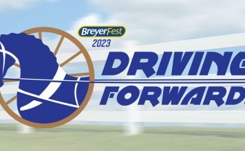 BreyerFest 2023 Surprise Model | Exclusive and Special Runs
