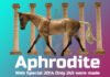 The Awaited Raffle: Aphrodite Goddess Series Model Horse Up for Grabs! Aphrodite Goddess Series
