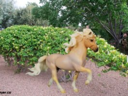 Honey Suckle A Rare Gem in the World of Collectible Models