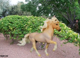 Honey Suckle A Rare Gem in the World of Collectible Models Honey Suckle A Rare Gem in the World of Collectible Models