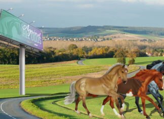 Discover the Magic of Breyer Model Horses at Breyerfest 2024 Breyer Model Horses at Breyerfest 2024