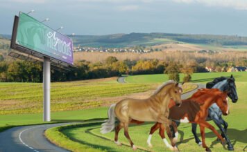 Discover the Magic of Breyer Model Horses at Breyerfest 2024 Breyer Model Horses at Breyerfest 2024