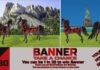 Chance To Win Banner 2019 Chance To Win Banner 2019