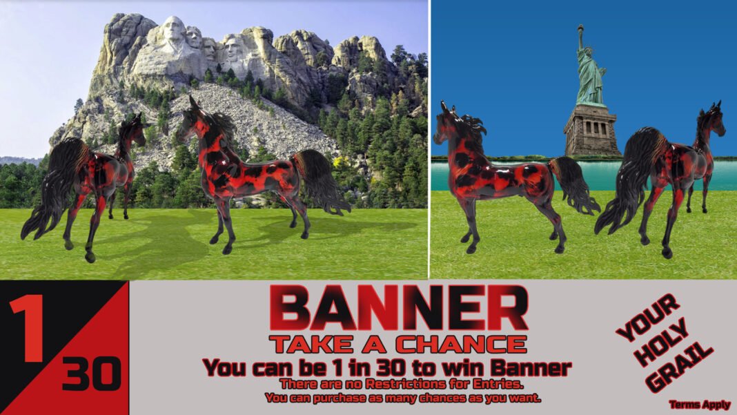 Chance To Win Banner 2019