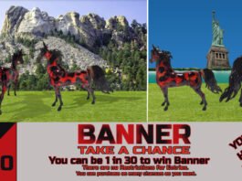 Chance To Win Banner 2019