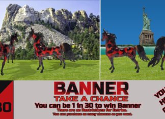 Chance To Win Banner 2019 Chance To Win Banner 2019