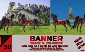 Chance To Win Banner 2019 Chance To Win Banner 2019
