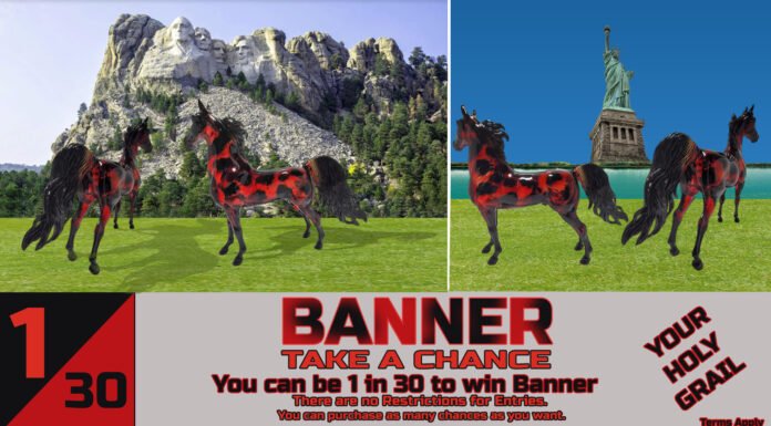 Chance To Win Banner 2019 Chance To Win Banner 2019