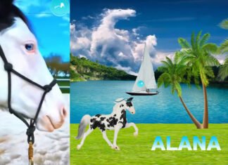 Stablemate Club Release 2025 Stablemate Club Release 2025