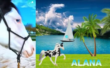 Stablemate Club Release 2025 Stablemate Club Release 2025